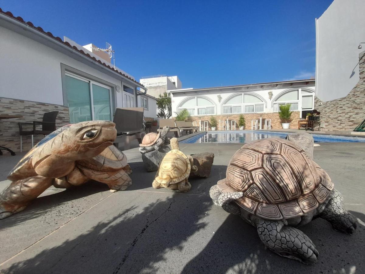 Tenerife Little Village San Isidro  Exterior foto